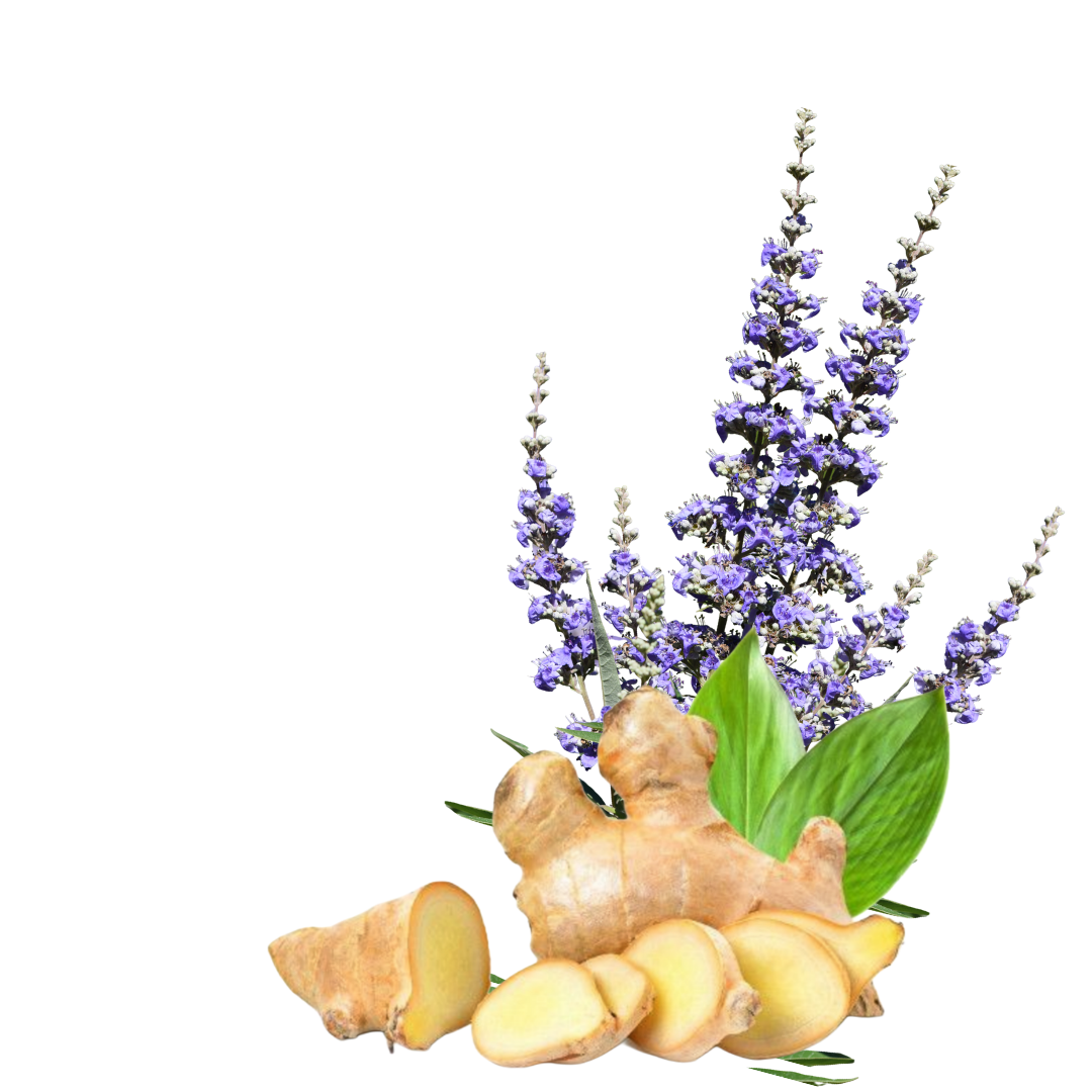 INFOGRAFIAS AMAZON (2)